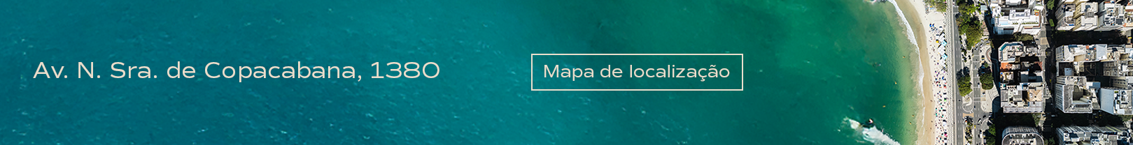 Botão PDF